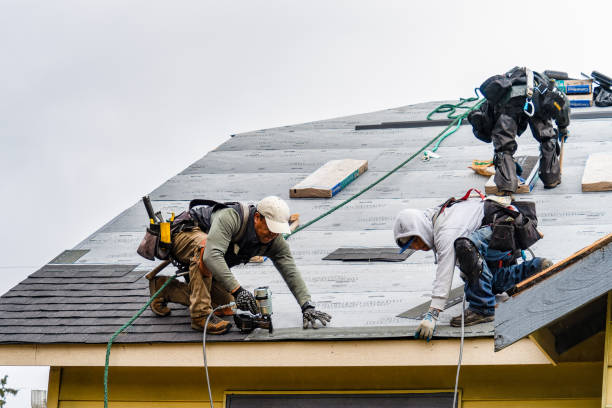 Professional Roof Inspection technician working in Elwood, NY